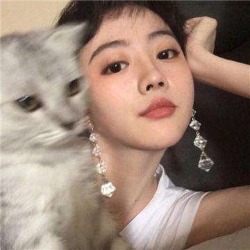 丛林小猪PigsinTrees官方下载